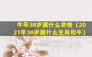 牛年38岁属什么命格（2021年38岁属什么生肖和牛）