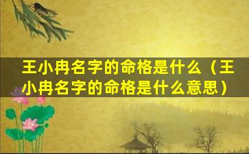 王小冉名字的命格是什么（王小冉名字的命格是什么意思）