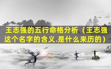 王志强的五行命格分析（王志强这个名字的含义.是什么来历的）