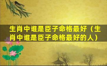 生肖中谁是臣子命格最好（生肖中谁是臣子命格最好的人）