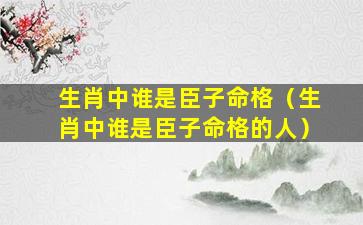 生肖中谁是臣子命格（生肖中谁是臣子命格的人）