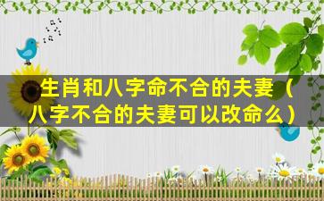 生肖和八字命不合的夫妻（八字不合的夫妻可以改命么）