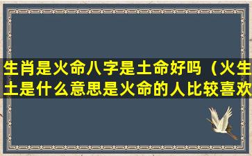 生肖是火命八字是土命好吗（火生土是什么意思是火命的人比较喜欢土命的人么）