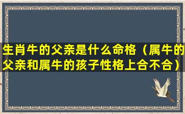 生肖牛的父亲是什么命格（属牛的父亲和属牛的孩子性格上合不合）