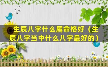 生辰八字什么属命格好（生辰八字当中什么八字最好的）