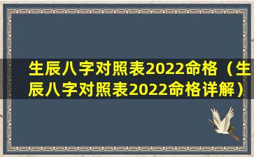 生辰八字对照表2022命格（生辰八字对照表2022命格详解）