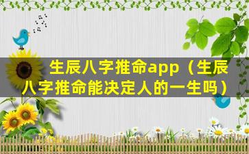 生辰八字推命app（生辰八字推命能决定人的一生吗）