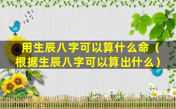 用生辰八字可以算什么命（根据生辰八字可以算出什么）