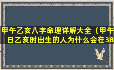 甲午乙亥八字命理详解大全（甲午日乙亥时出生的人为什么会在38岁这年有变化）