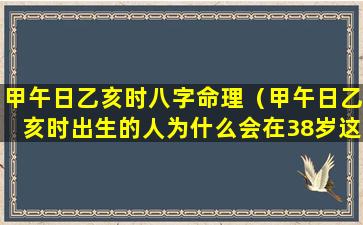 甲午日乙亥时八字命理（甲午日乙亥时出生的人为什么会在38岁这年有变化）