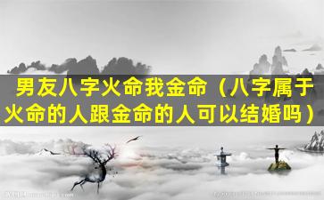 男友八字火命我金命（八字属于火命的人跟金命的人可以结婚吗）