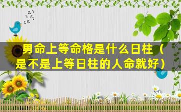 男命上等命格是什么日柱（是不是上等日柱的人命就好）