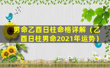 男命乙酉日柱命格详解（乙酉日柱男命2021年运势）