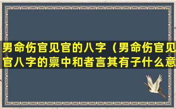 男命伤官见官的八字（男命伤官见官八字的禀中和者言其有子什么意思）