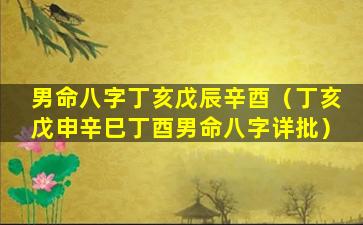 男命八字丁亥戊辰辛酉（丁亥戊申辛巳丁酉男命八字详批）