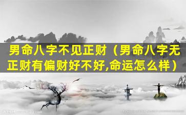 男命八字不见正财（男命八字无正财有偏财好不好,命运怎么样）