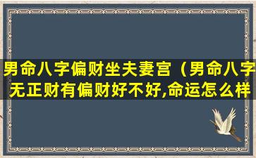 男命八字偏财坐夫妻宫（男命八字无正财有偏财好不好,命运怎么样）