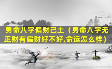 男命八字偏财己土（男命八字无正财有偏财好不好,命运怎么样）