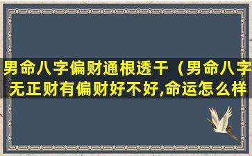 男命八字偏财通根透干（男命八字无正财有偏财好不好,命运怎么样）