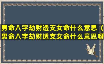 男命八字劫财透支女命什么意思（男命八字劫财透支女命什么意思呀）