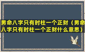 男命八字只有时柱一个正财（男命八字只有时柱一个正财什么意思）