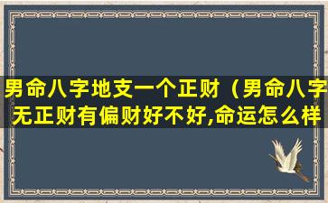 男命八字地支一个正财（男命八字无正财有偏财好不好,命运怎么样）