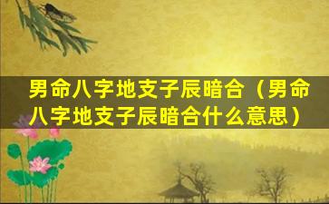 男命八字地支子辰暗合（男命八字地支子辰暗合什么意思）