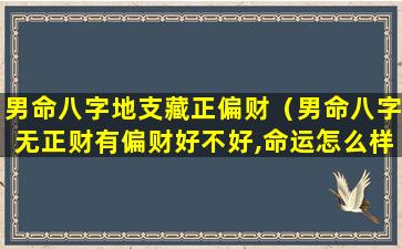 男命八字地支藏正偏财（男命八字无正财有偏财好不好,命运怎么样）