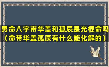 男命八字带华盖和孤辰是光棍命吗（命带华盖孤辰有什么能化解的）