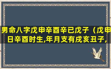 男命八字戊申辛酉辛已戊子（戊申日辛酉时生,年月支有戌亥丑子,有权有势）