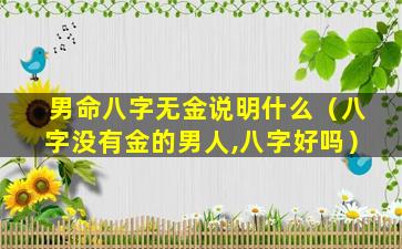 男命八字无金说明什么（八字没有金的男人,八字好吗）