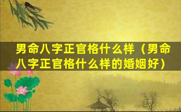 男命八字正官格什么样（男命八字正官格什么样的婚姻好）