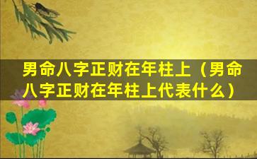 男命八字正财在年柱上（男命八字正财在年柱上代表什么）