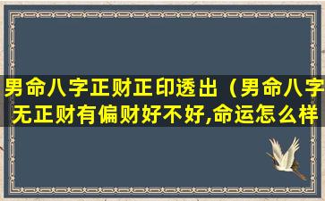 男命八字正财正印透出（男命八字无正财有偏财好不好,命运怎么样）