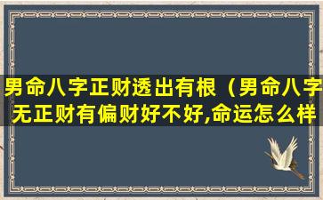 男命八字正财透出有根（男命八字无正财有偏财好不好,命运怎么样）