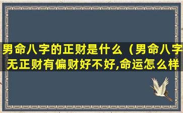 男命八字的正财是什么（男命八字无正财有偏财好不好,命运怎么样）