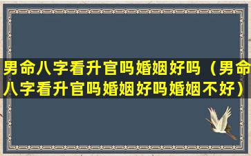 男命八字看升官吗婚姻好吗（男命八字看升官吗婚姻好吗婚姻不好）