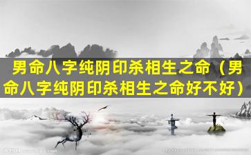 男命八字纯阴印杀相生之命（男命八字纯阴印杀相生之命好不好）