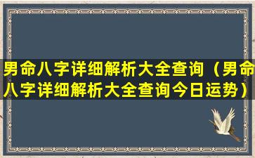 男命八字详细解析大全查询（男命八字详细解析大全查询今日运势）