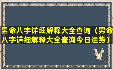 男命八字详细解释大全查询（男命八字详细解释大全查询今日运势）