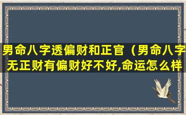 男命八字透偏财和正官（男命八字无正财有偏财好不好,命运怎么样）