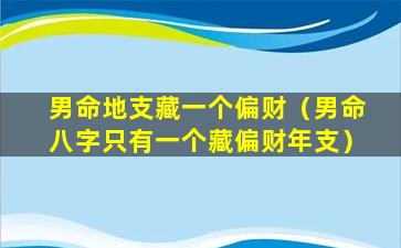 男命地支藏一个偏财（男命八字只有一个藏偏财年支）