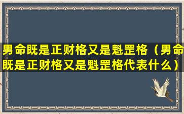 男命既是正财格又是魁罡格（男命既是正财格又是魁罡格代表什么）