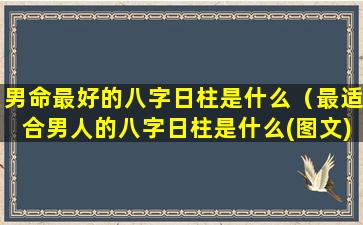 男命最好的八字日柱是什么（最适合男人的八字日柱是什么(图文)）