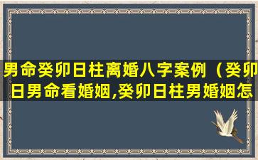 男命癸卯日柱离婚八字案例（癸卯日男命看婚姻,癸卯日柱男婚姻怎么样）