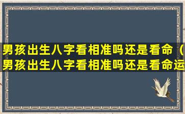 男孩出生八字看相准吗还是看命（男孩出生八字看相准吗还是看命运好）