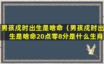 男孩戌时出生是啥命（男孩戌时出生是啥命20点零8分是什么生肖）