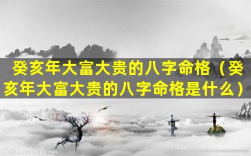 癸亥年大富大贵的八字命格（癸亥年大富大贵的八字命格是什么）