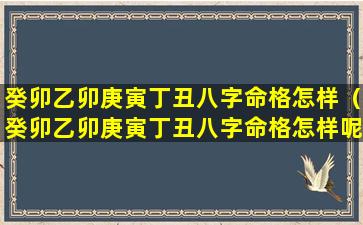 癸卯乙卯庚寅丁丑八字命格怎样（癸卯乙卯庚寅丁丑八字命格怎样呢）