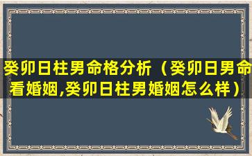 癸卯日柱男命格分析（癸卯日男命看婚姻,癸卯日柱男婚姻怎么样）